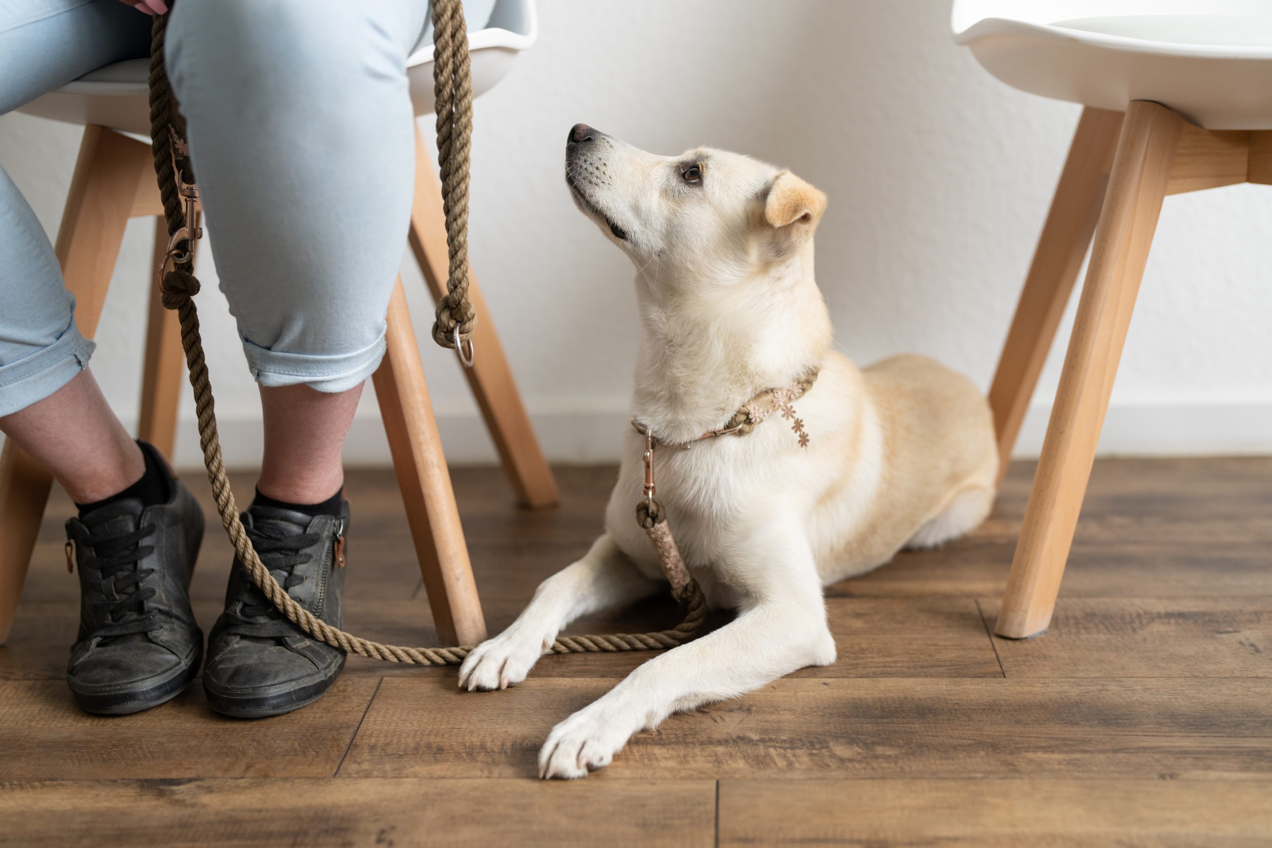 Bild einer Kundin mit Ihrem Hund