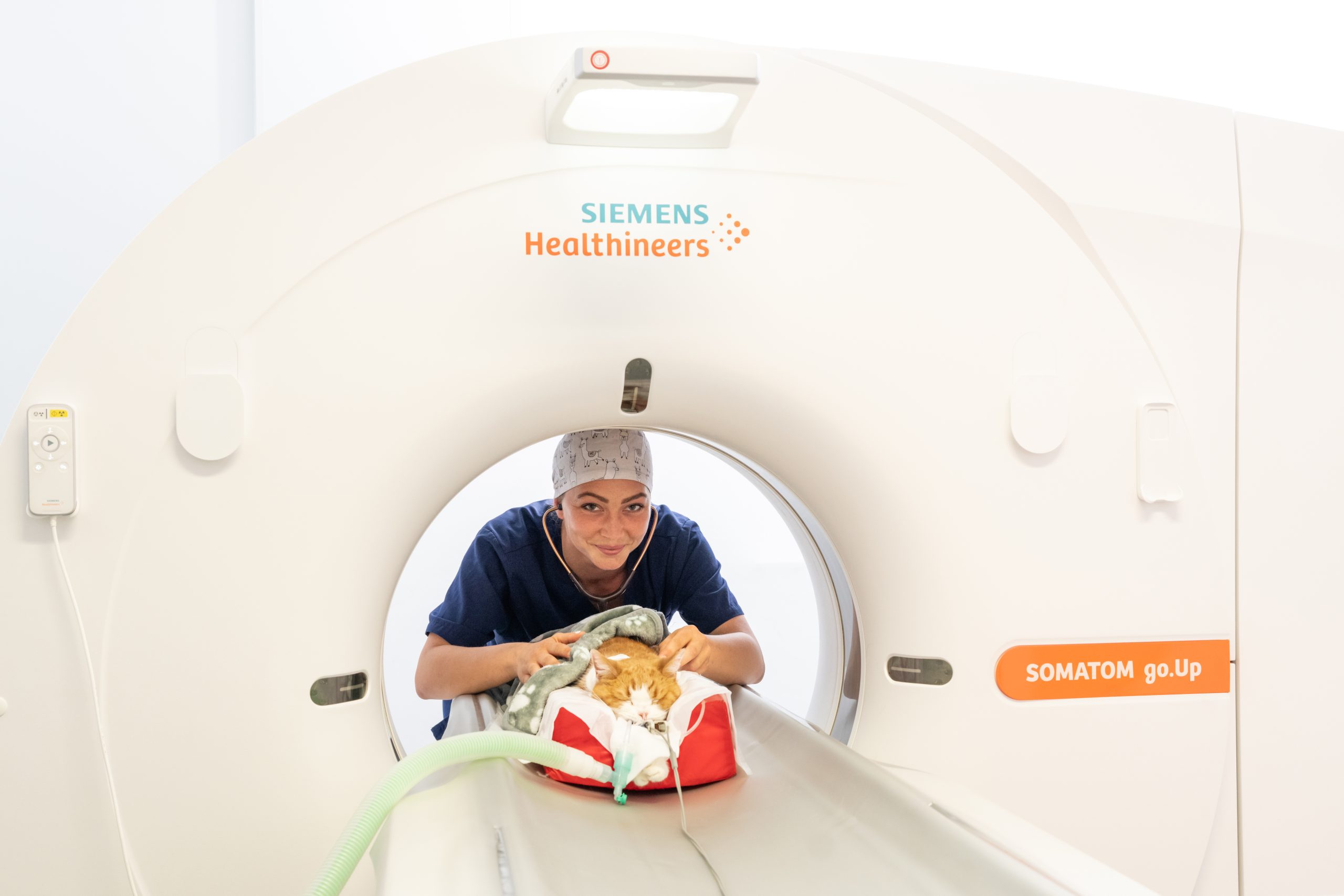 Bild eines Tierarztes bei der Behandlung