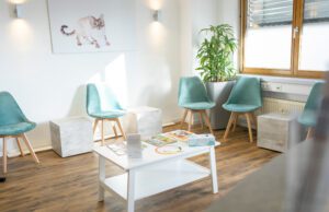 Katzenklinik1